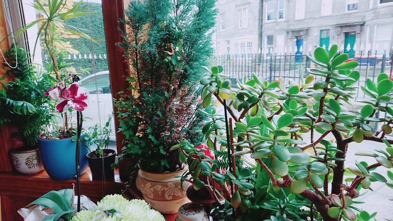Swan Lake Guest House Единбург Екстериор снимка